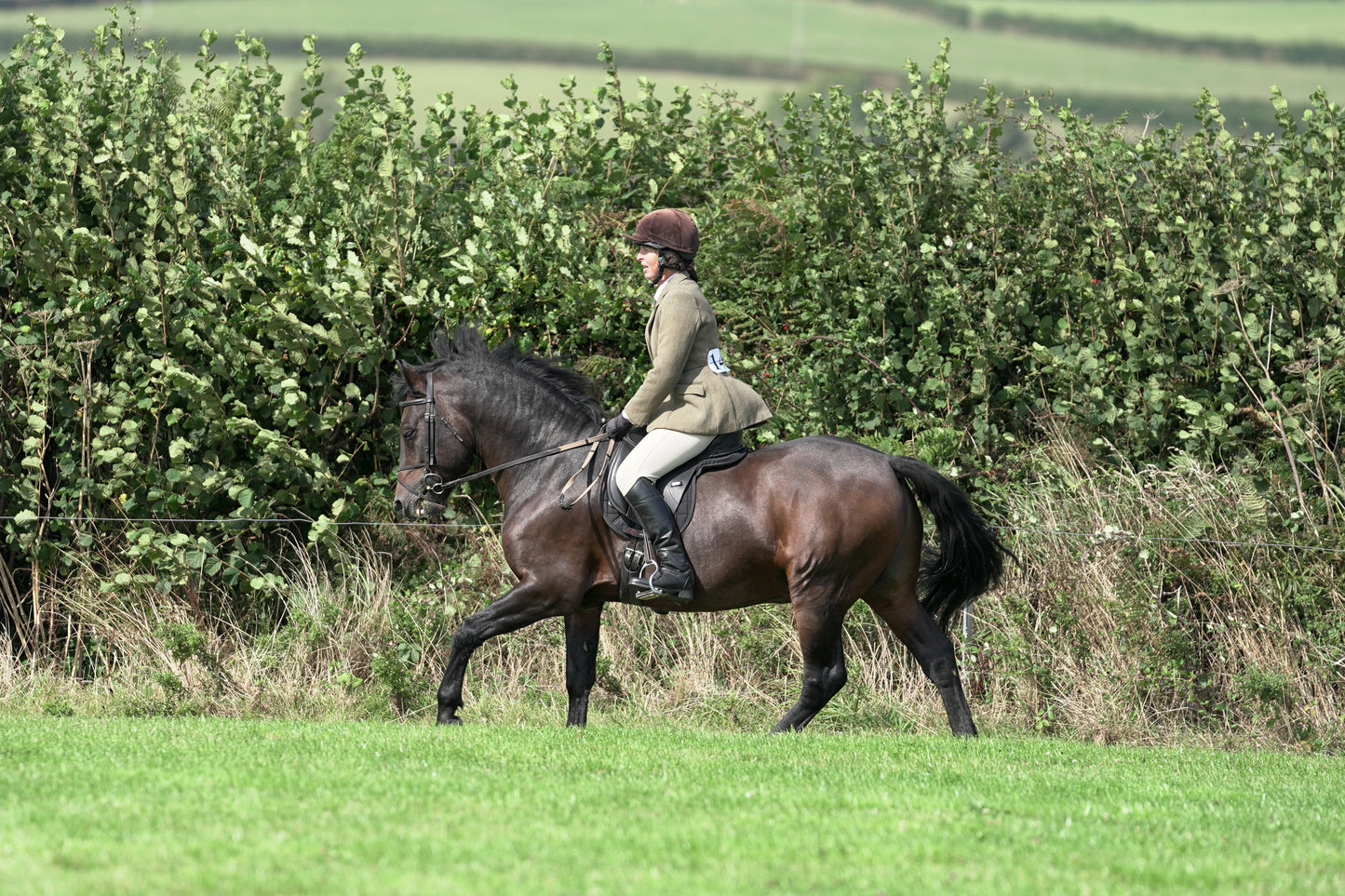 lanlivery show jumping rings part 3