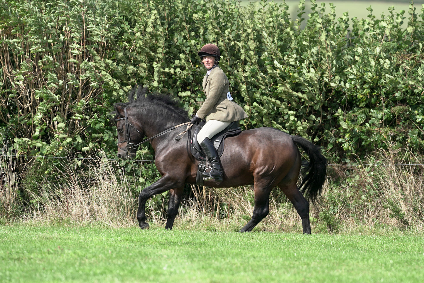 lanlivery show jumping rings part 3