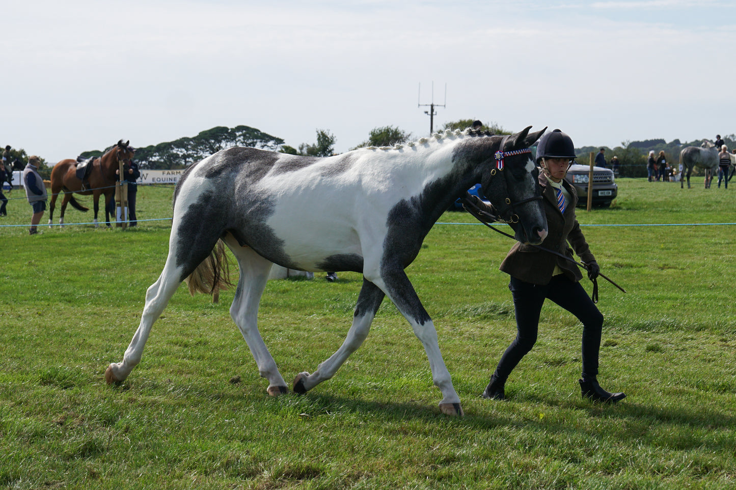 lanlivery show in hand part 3