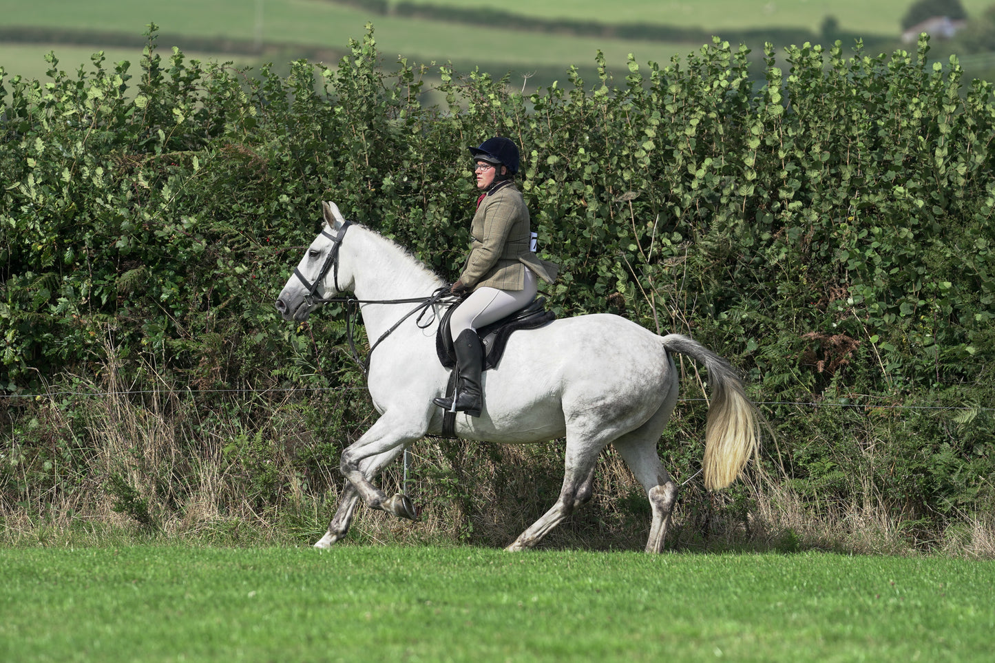 lanlivery show jumping rings part 3