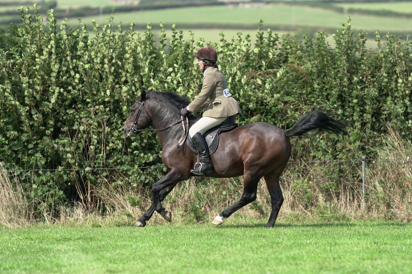 lanlivery show jumping rings part 3