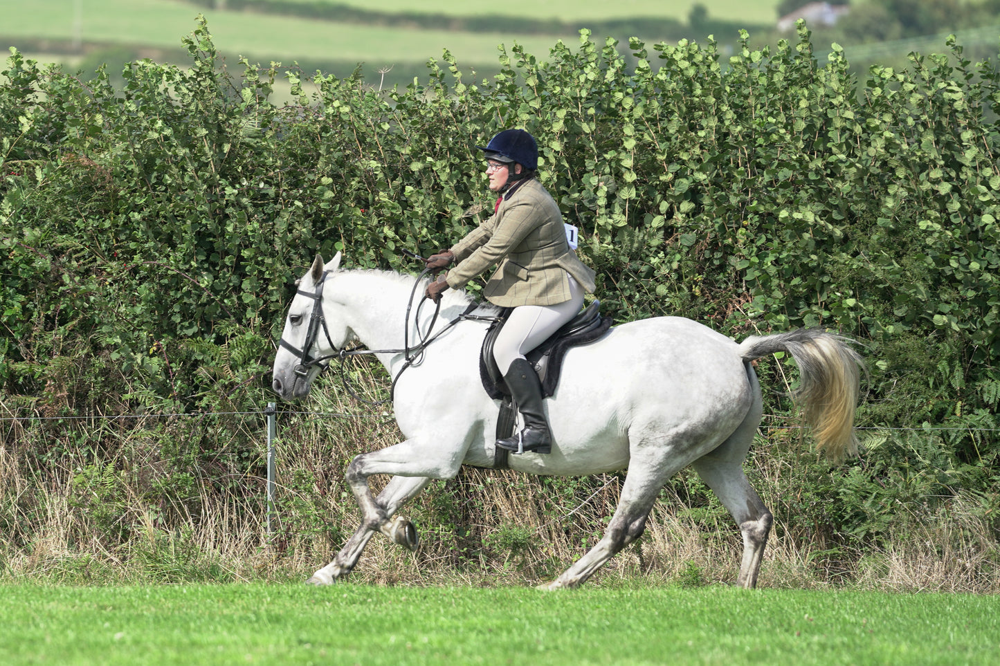 lanlivery show jumping rings part 3