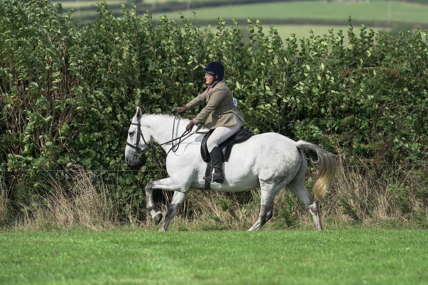 lanlivery show jumping rings part 3