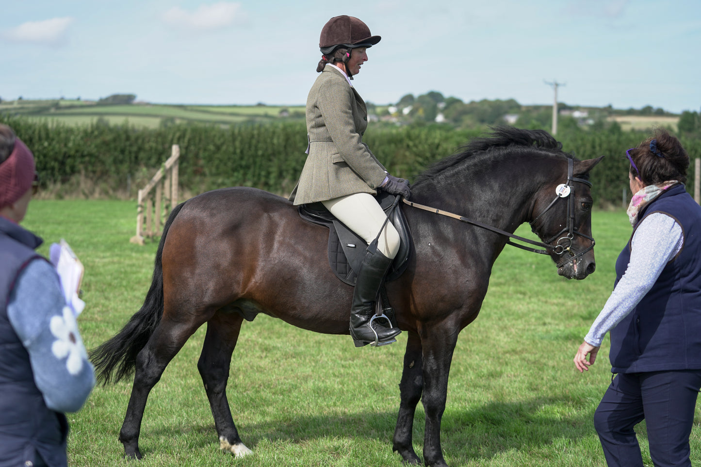 lanlivery show jumping rings part 3