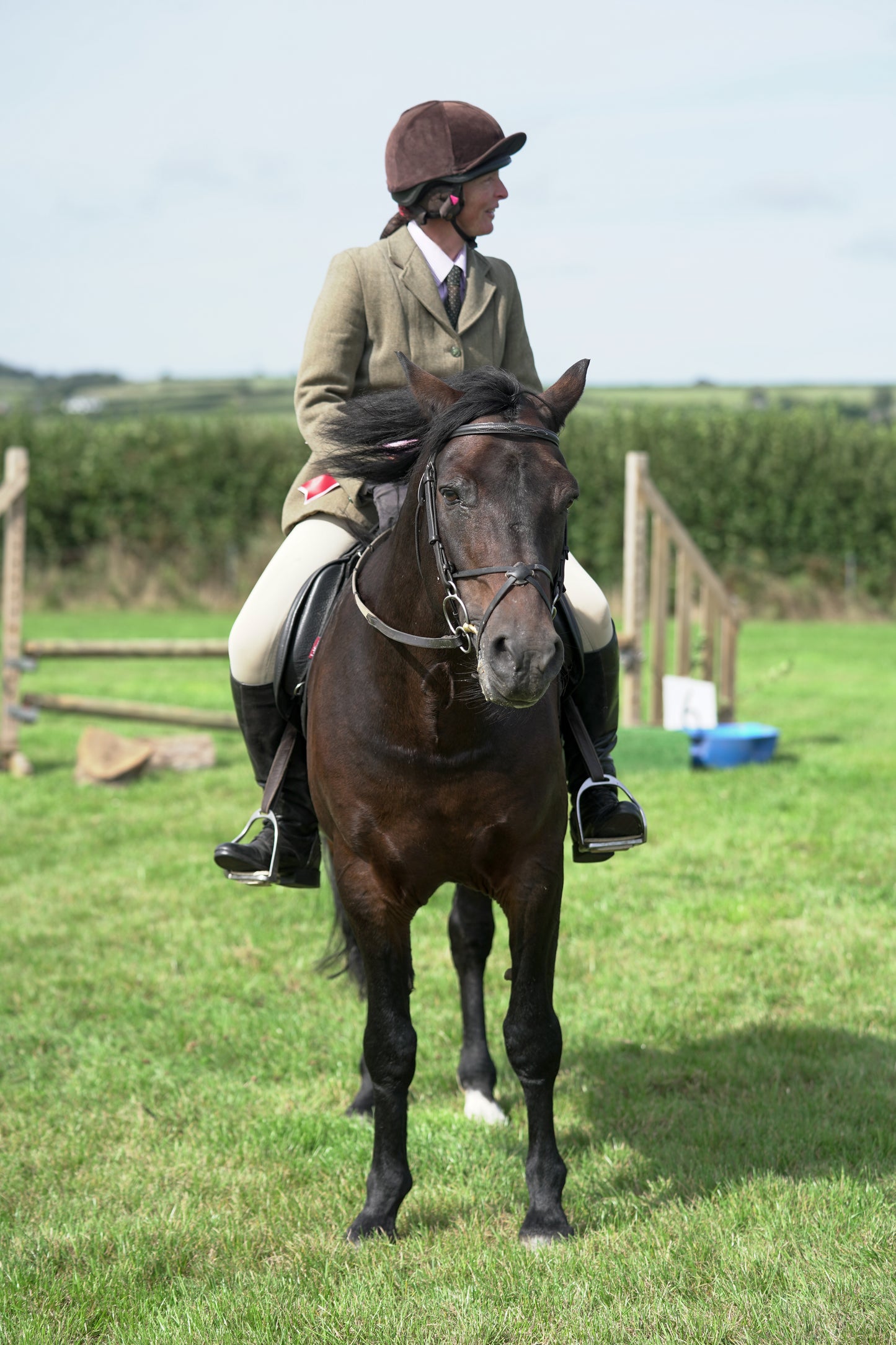 lanlivery show jumping rings part 3
