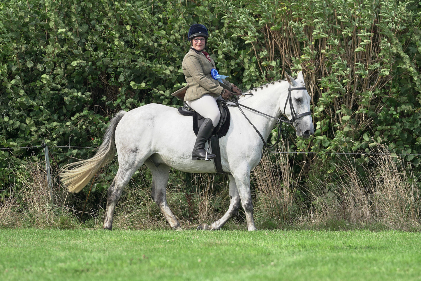 lanlivery show jumping rings part 3