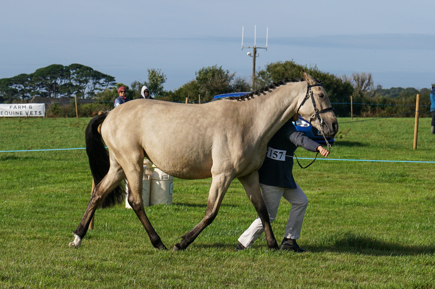 lanlivery show in hand part 1