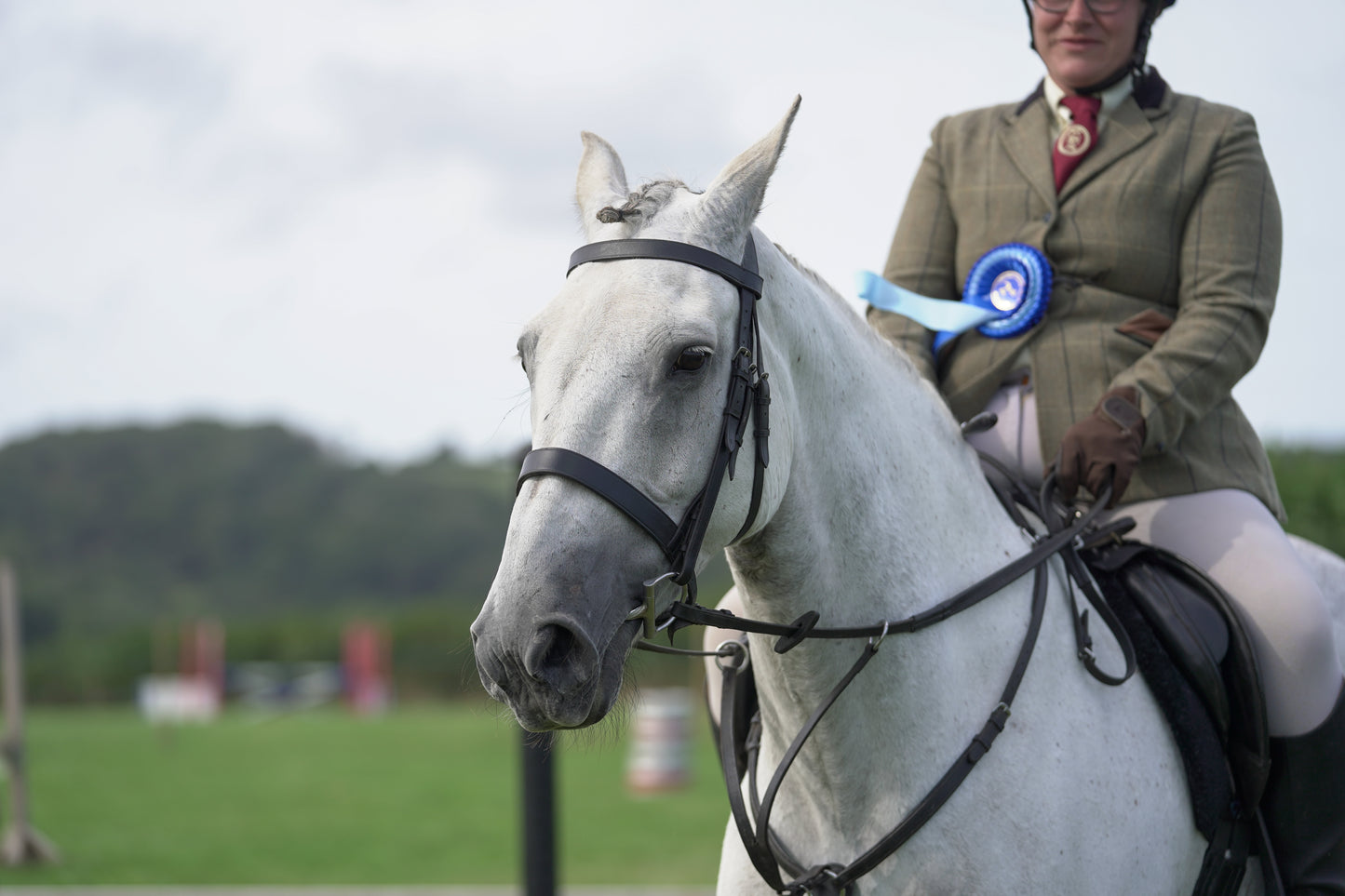 lanlivery show jumping rings part 3