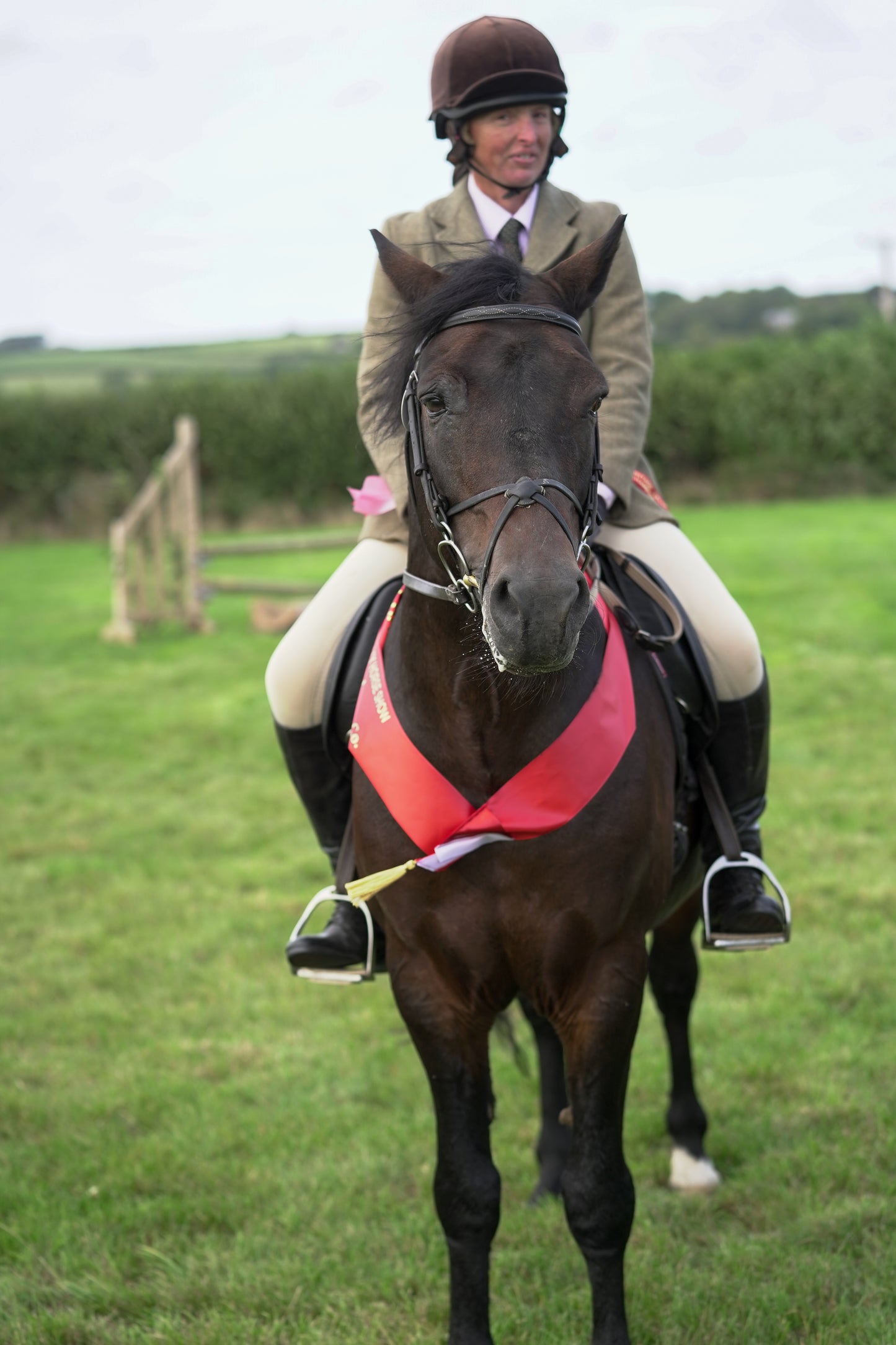 lanlivery show jumping rings part 3