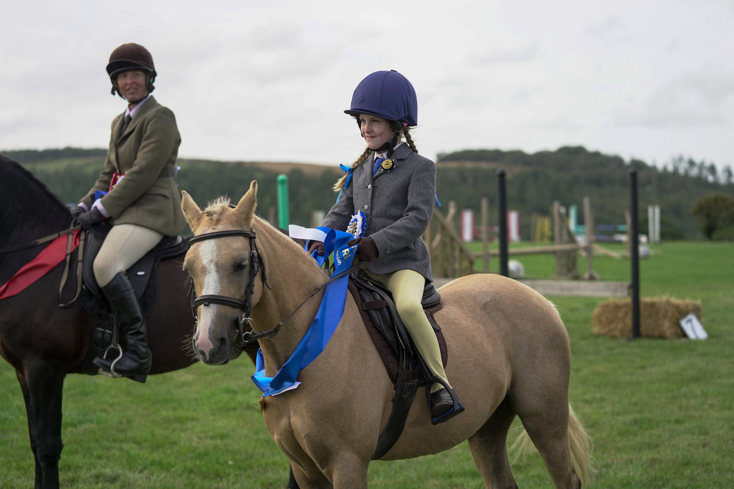 lanlivery show jumping rings part 3