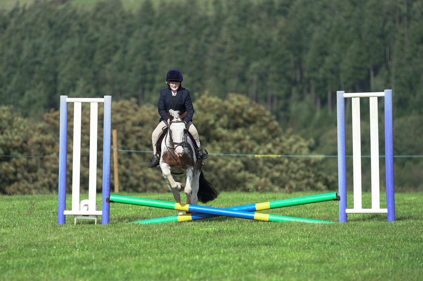 lanlivery show jumping rings part 1