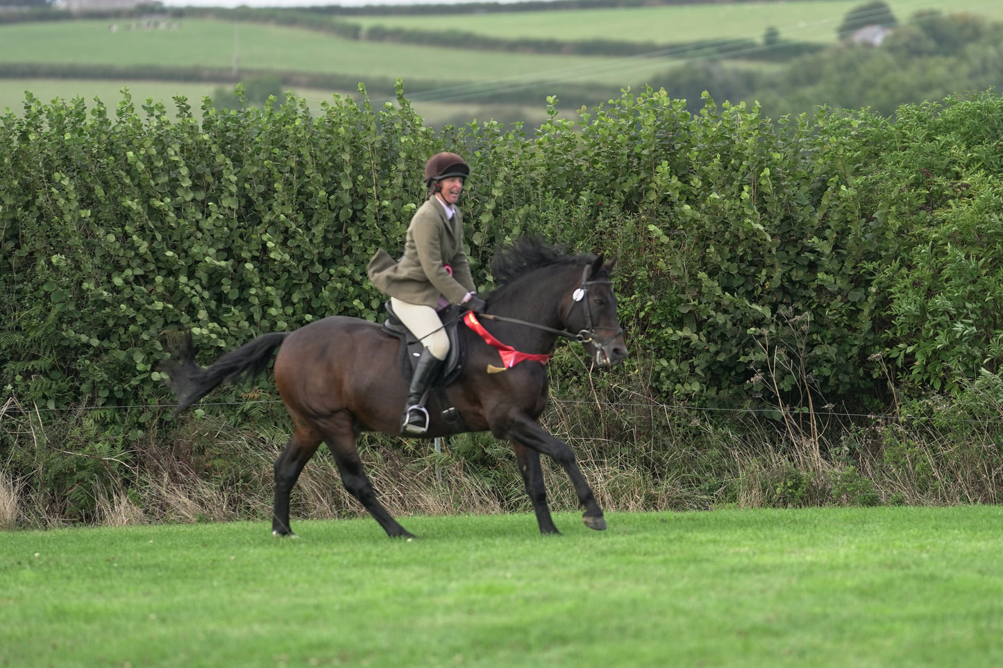 lanlivery show jumping rings part 3