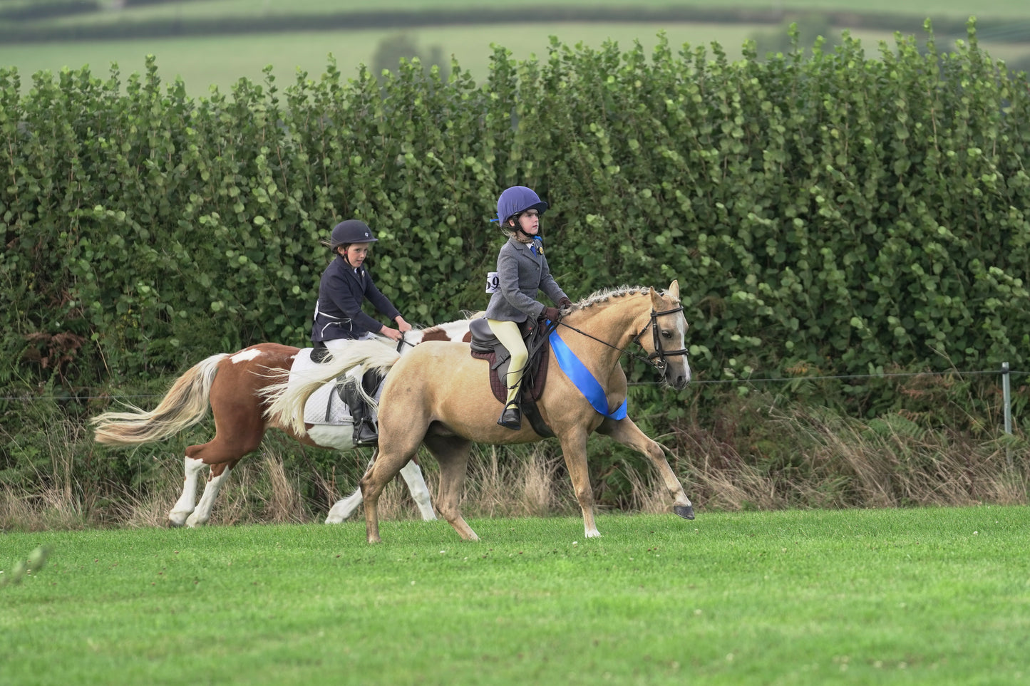 lanlivery show jumping rings part 3