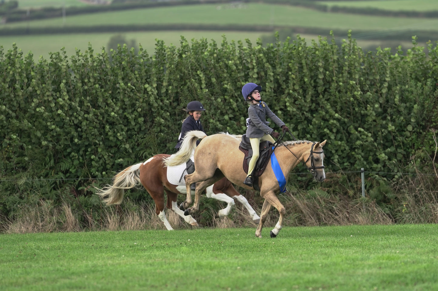 lanlivery show jumping rings part 3