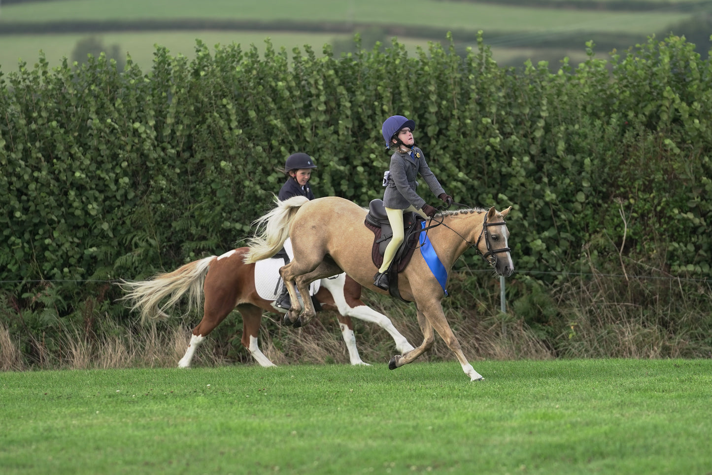lanlivery show jumping rings part 3