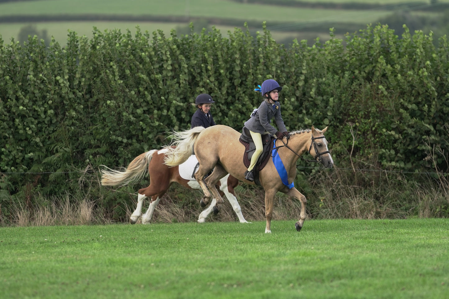 lanlivery show jumping rings part 3