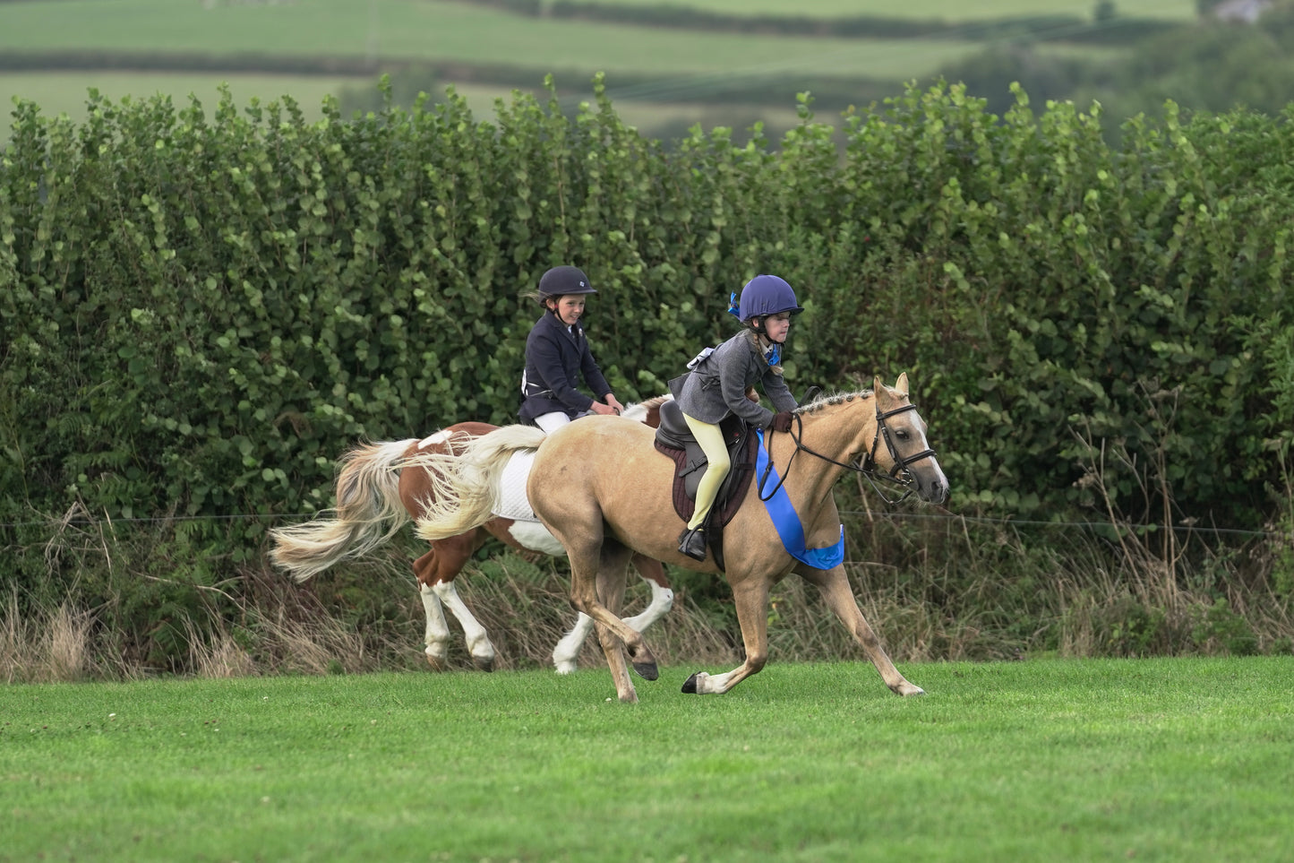 lanlivery show jumping rings part 3