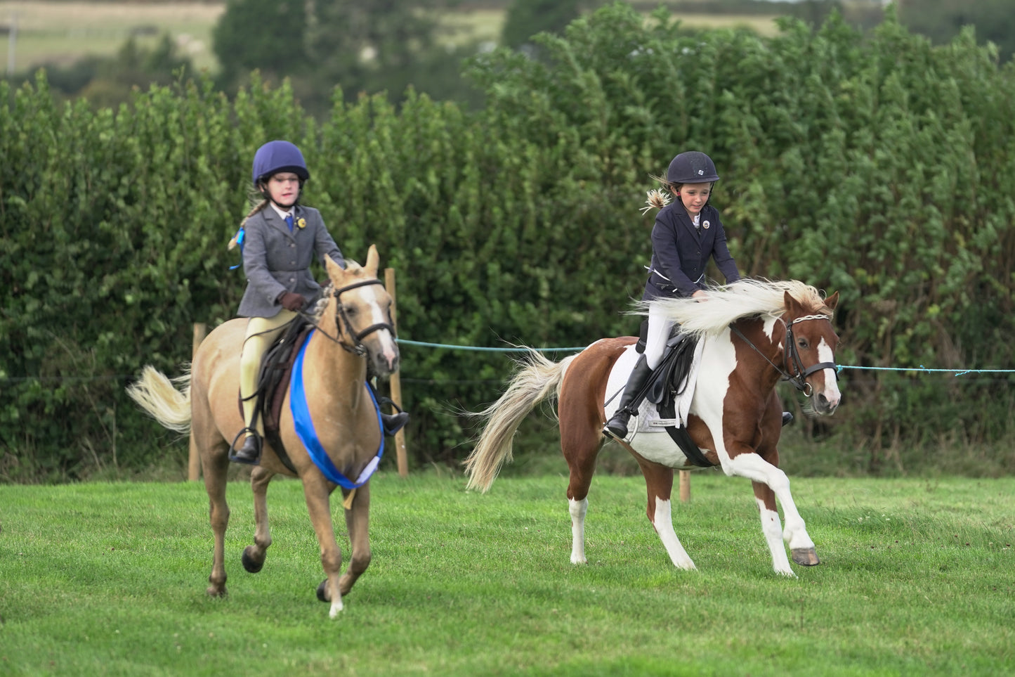 lanlivery show jumping rings part 3