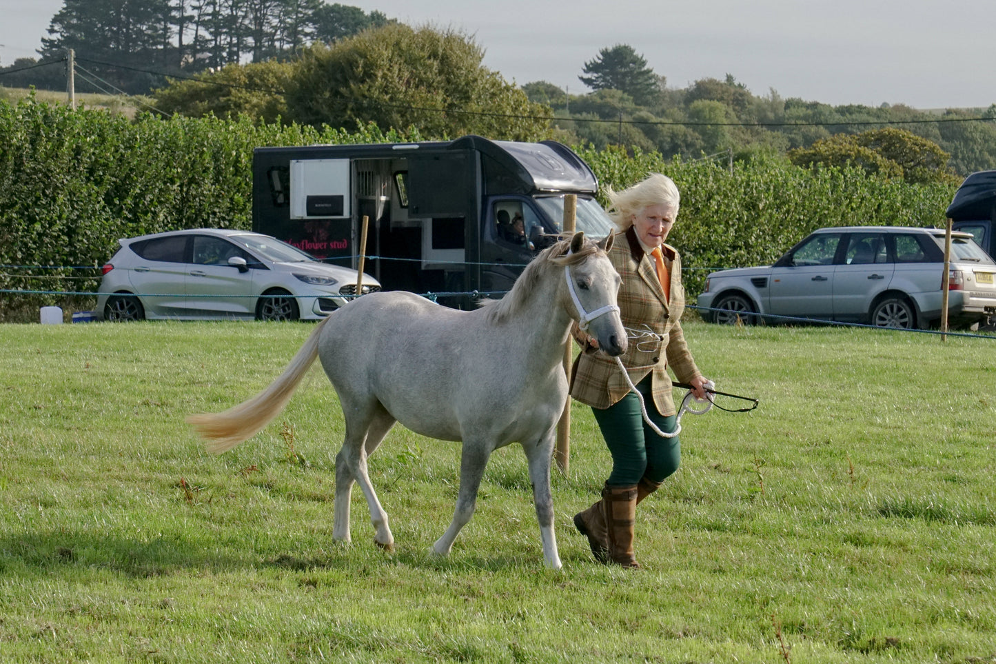 lanlivery show in hand part 1
