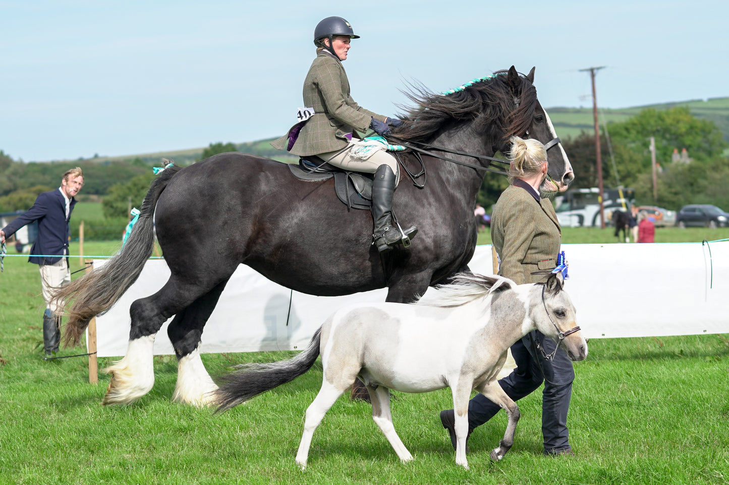 lanlivery show jumping rings part 3