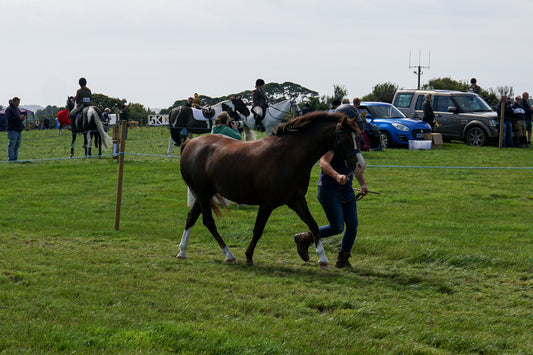 lanlivery show in hand part 4