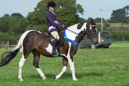 lanlivery show jumping rings part 4