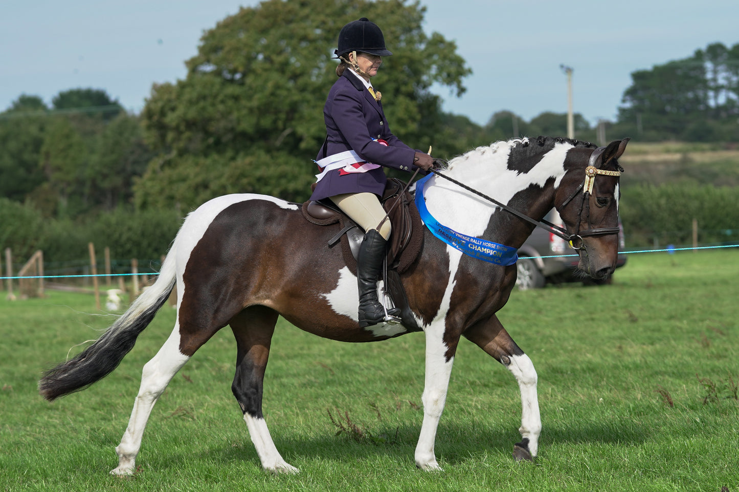 lanlivery show jumping rings part 4