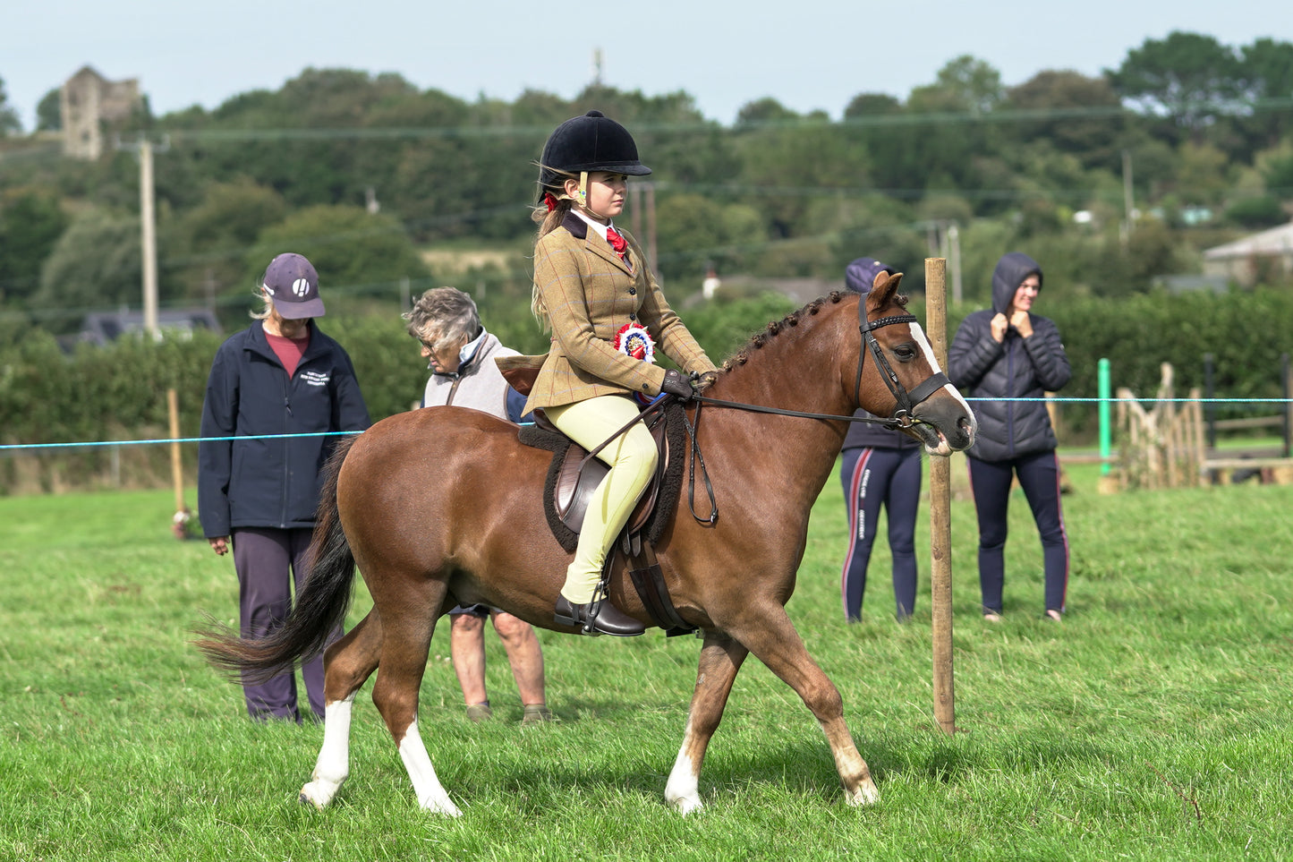 lanlivery show jumping rings part 4