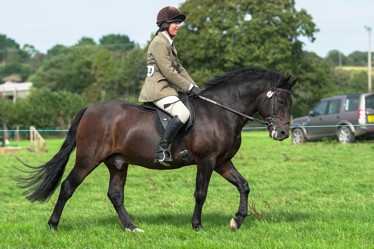 lanlivery show jumping rings part 4