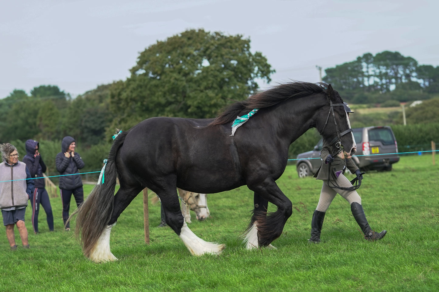 lanlivery show jumping rings part 4