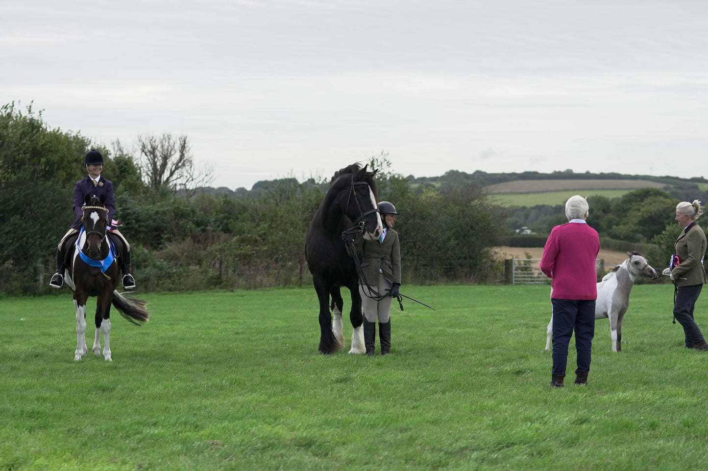 lanlivery show jumping rings part 4