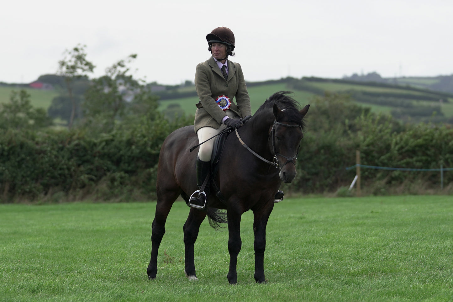 lanlivery show jumping rings part 4