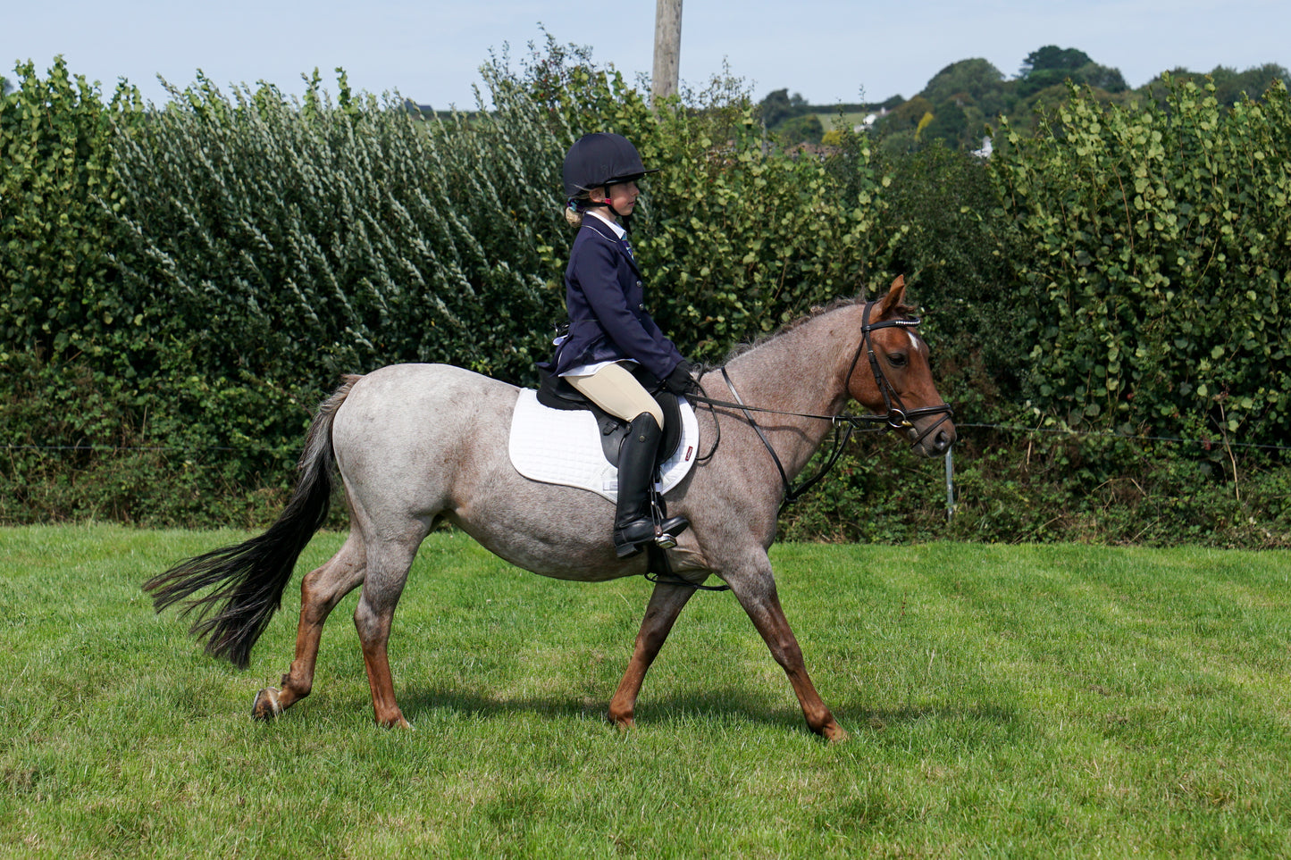 lanlivery show in hand part 4
