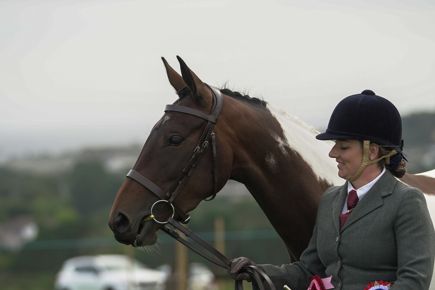 lanlivery show jumping rings part 4