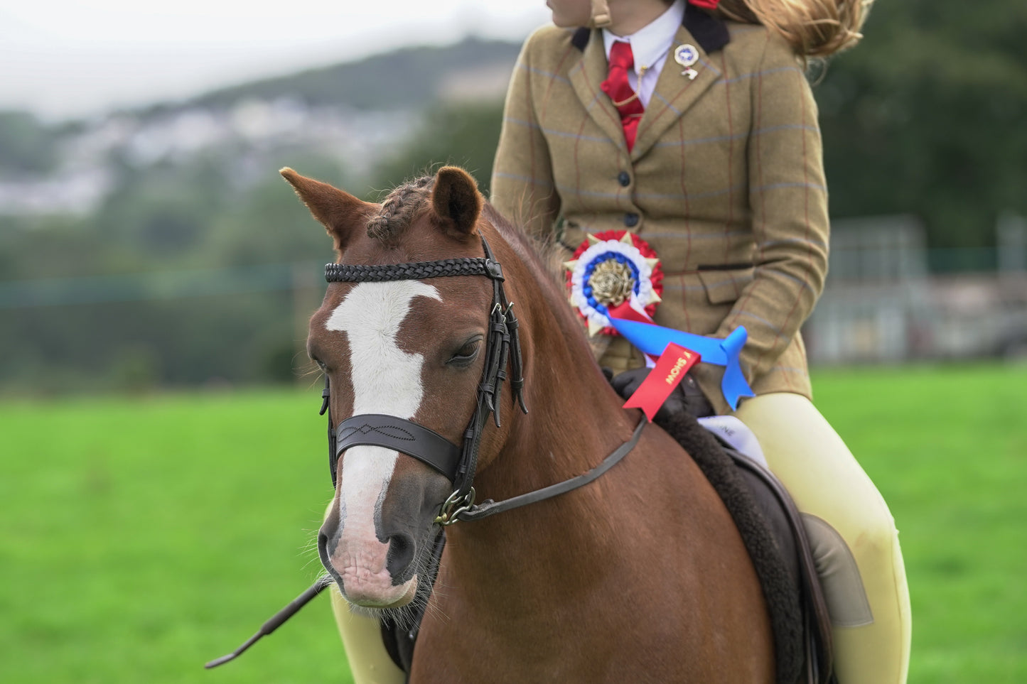 lanlivery show jumping rings part 4