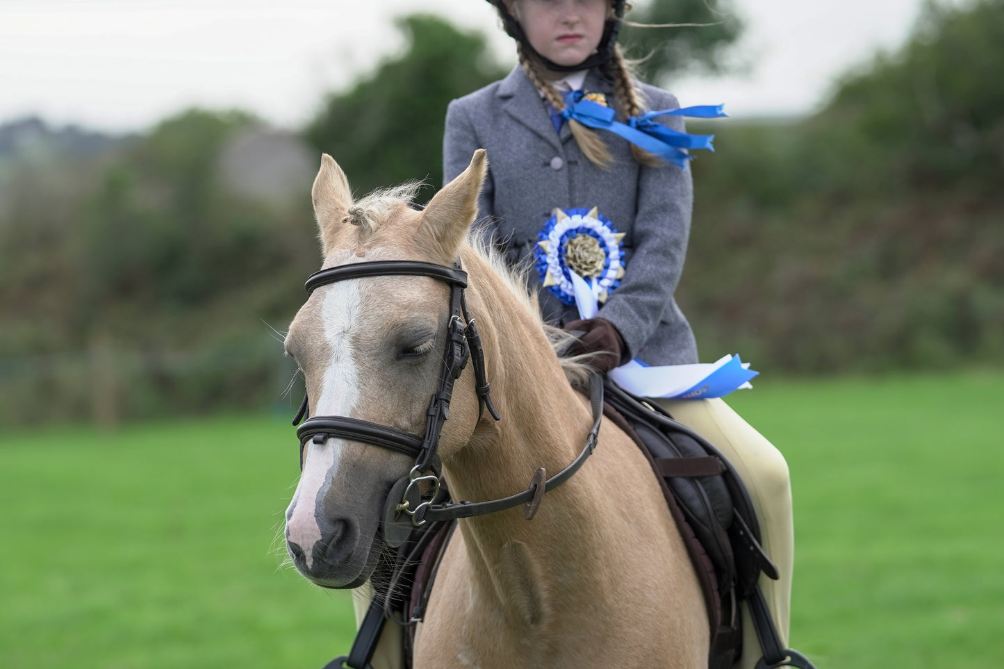 lanlivery show jumping rings part 4