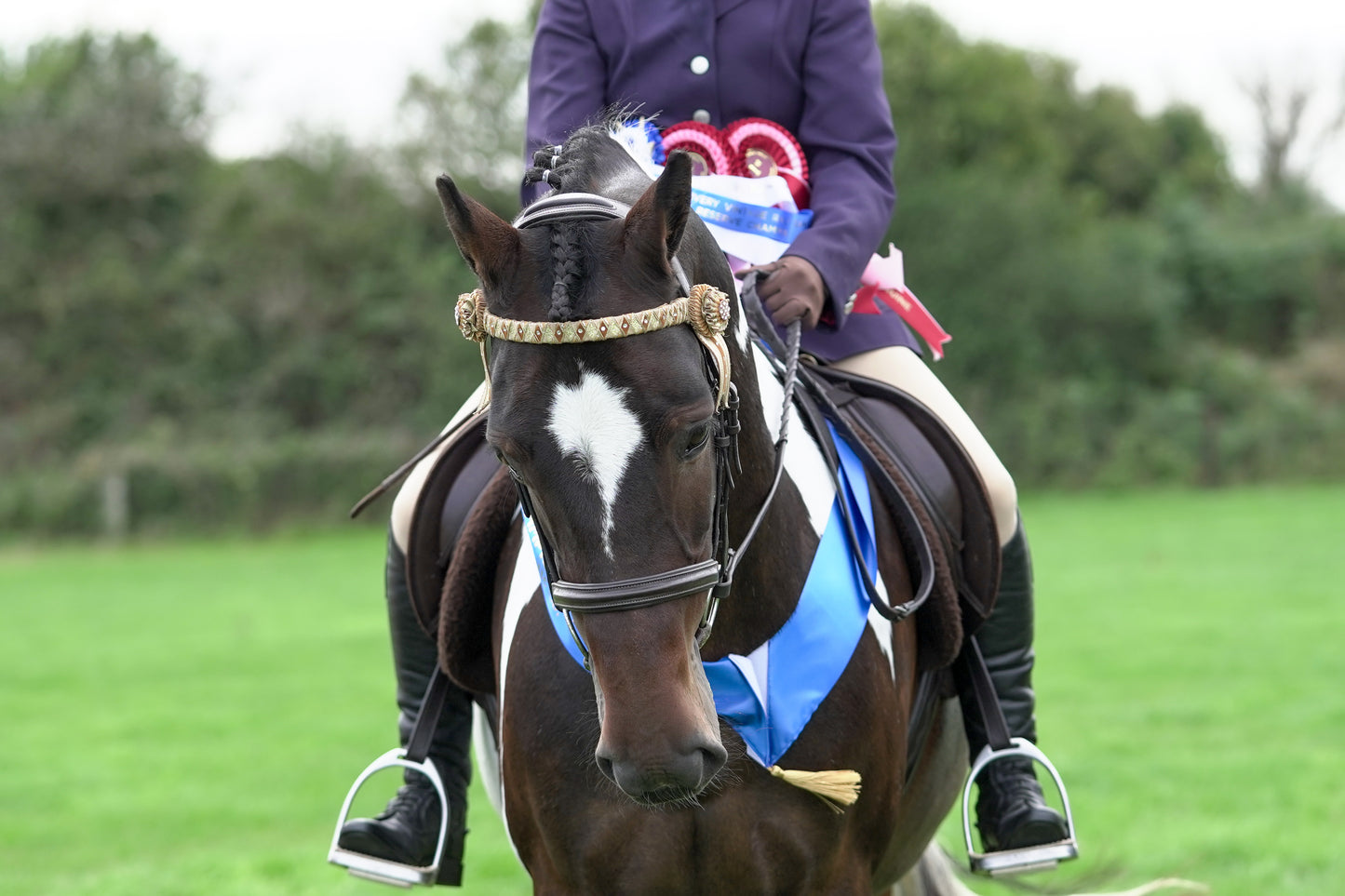 lanlivery show jumping rings part 4