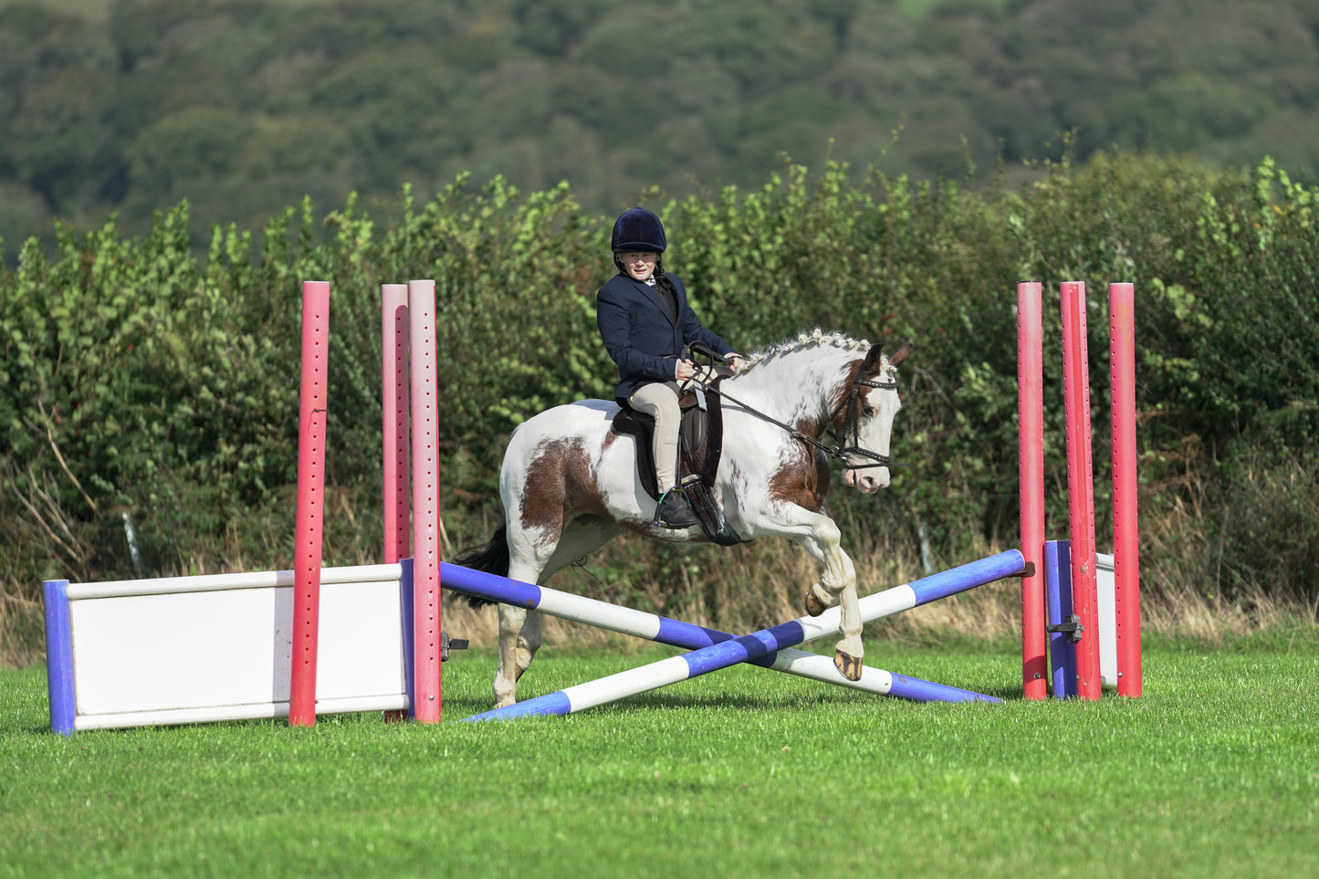 lanlivery show jumping rings part 1