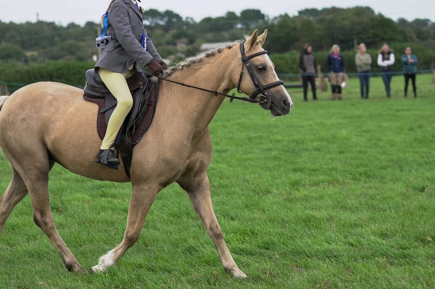 lanlivery show jumping rings part 4
