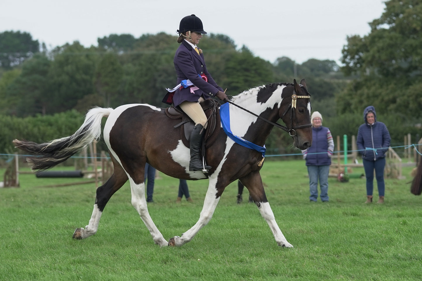 lanlivery show jumping rings part 4