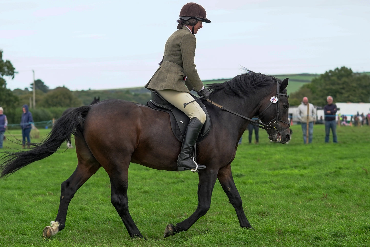 lanlivery show jumping rings part 4