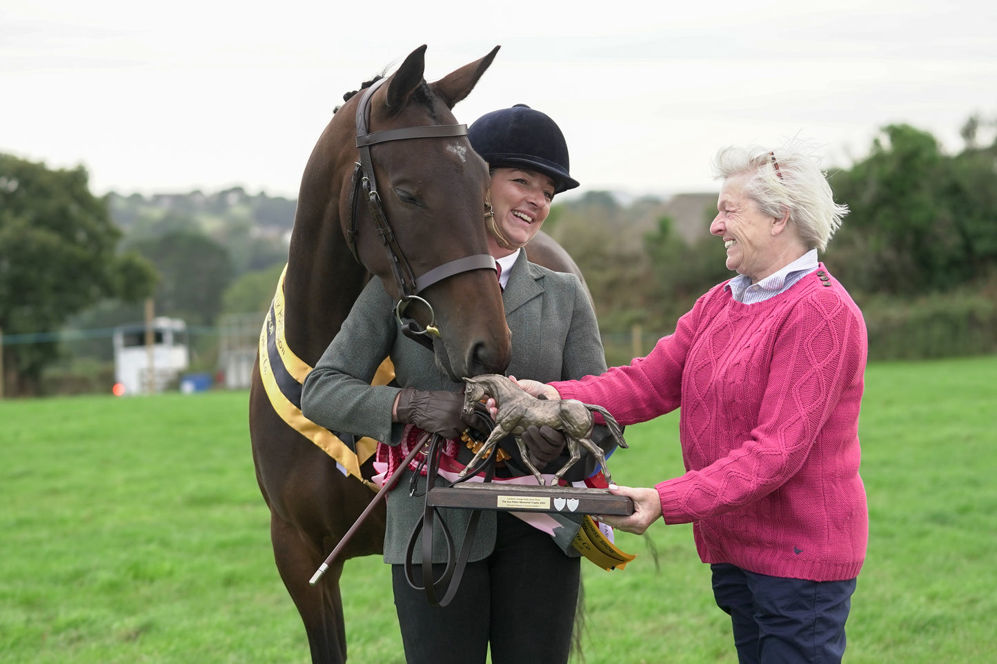 lanlivery show jumping rings part 4