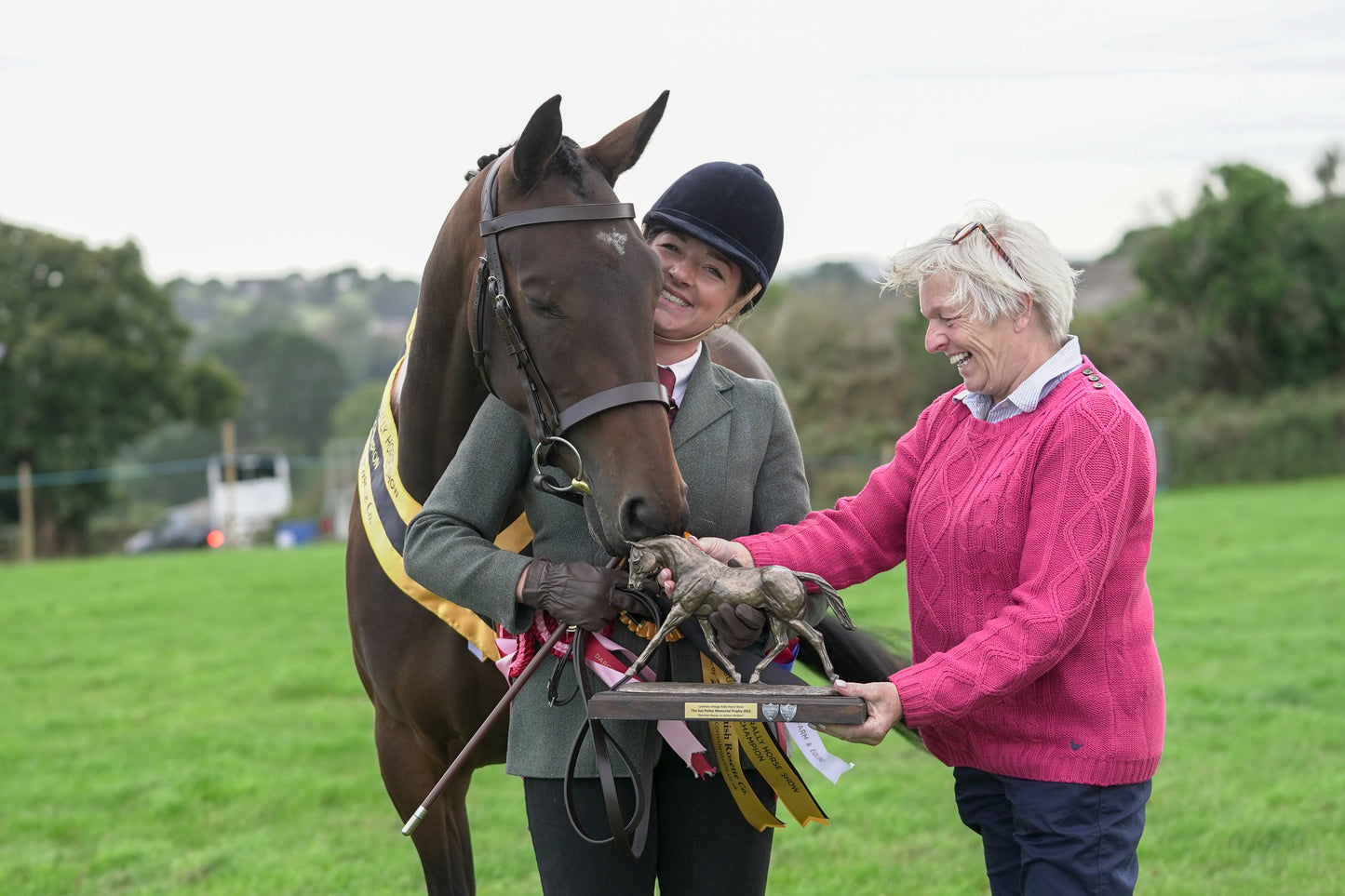 lanlivery show jumping rings part 4
