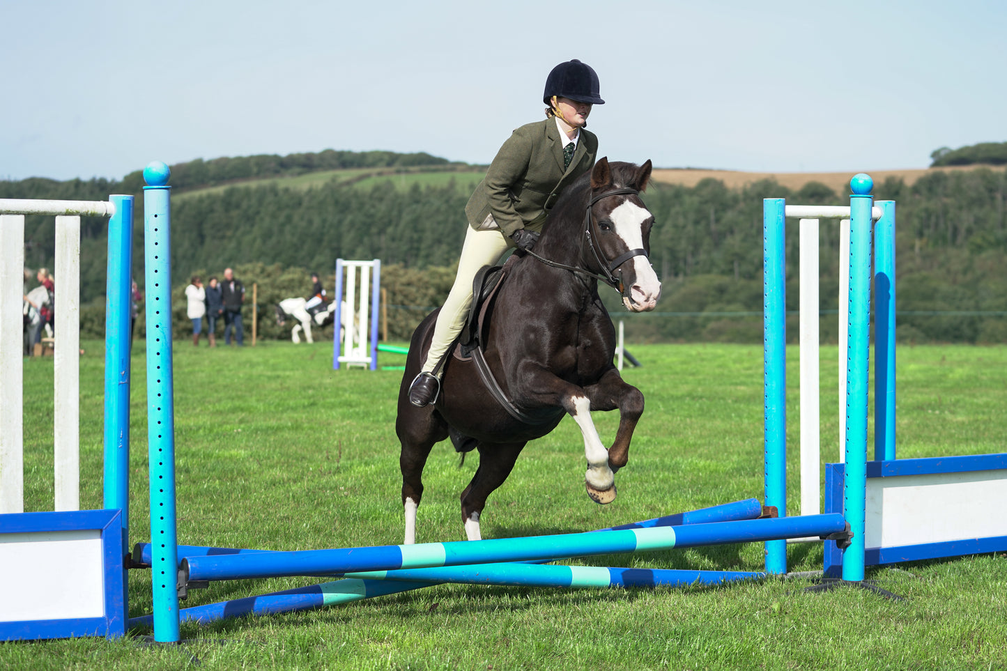 lanlivery show jumping rings part 1