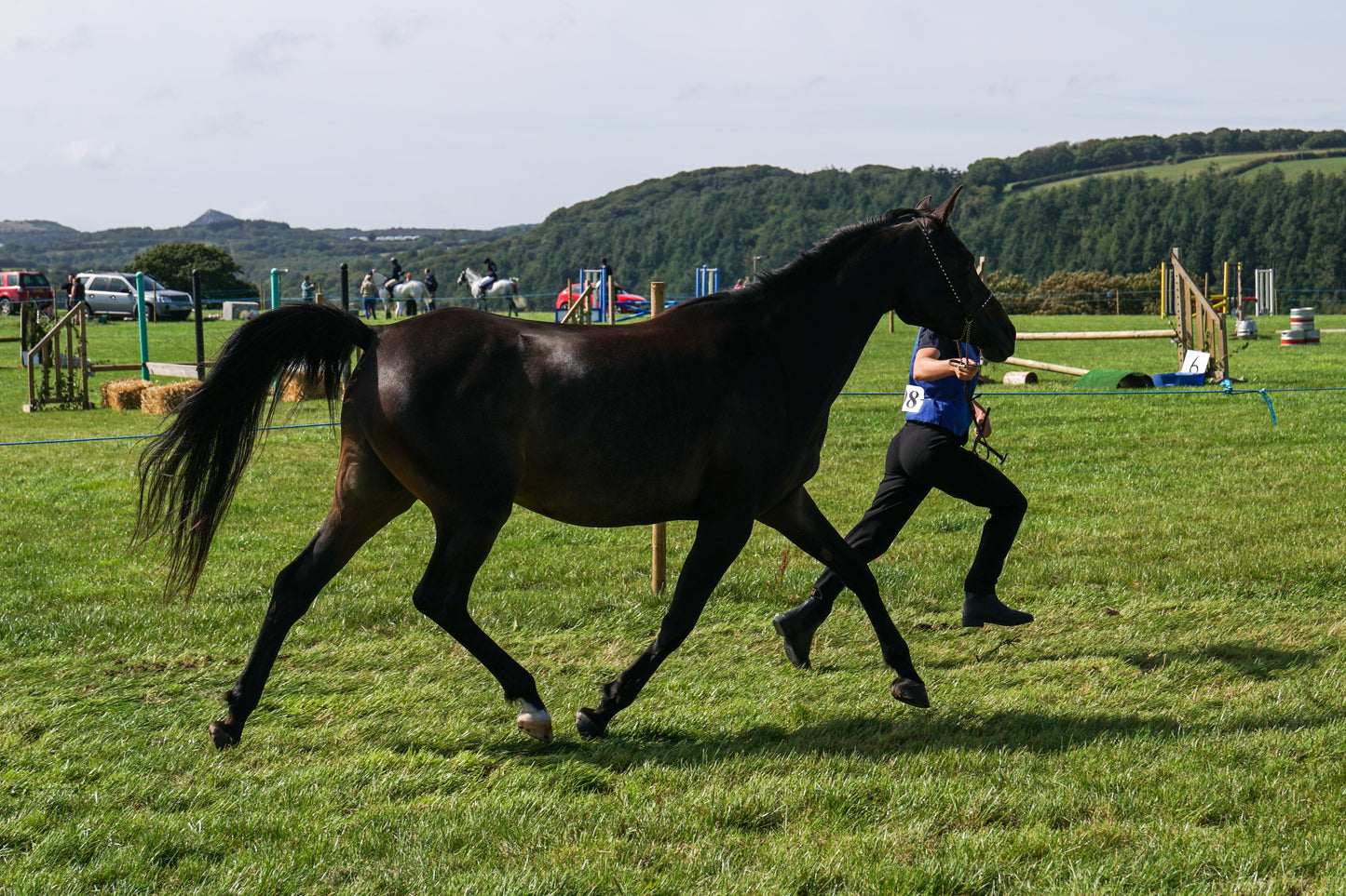 lanlivery show in hand part 4