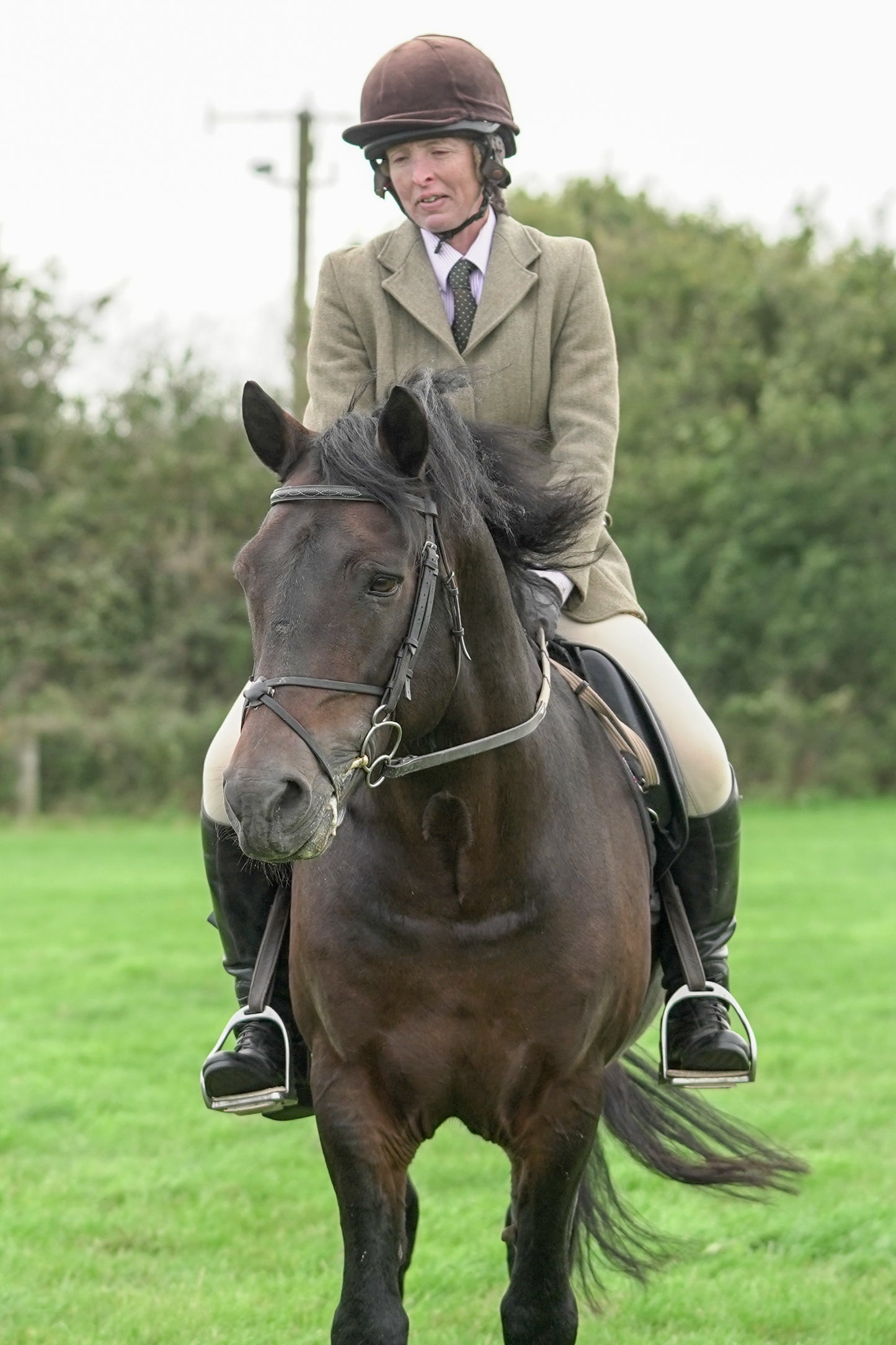 lanlivery show jumping rings part 4