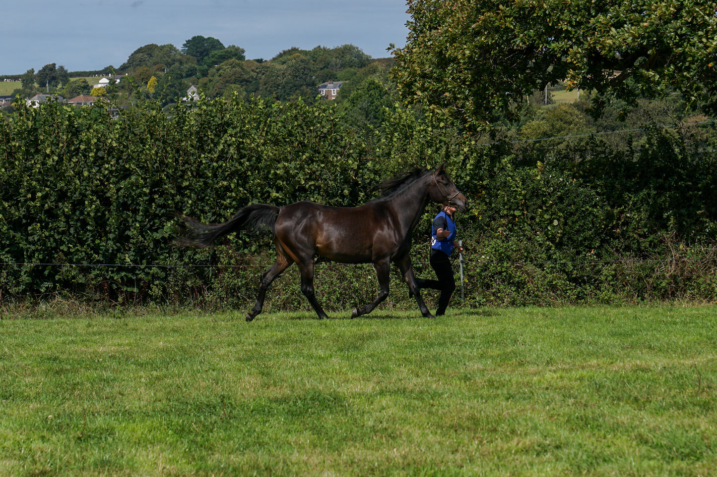 lanlivery show in hand part 4