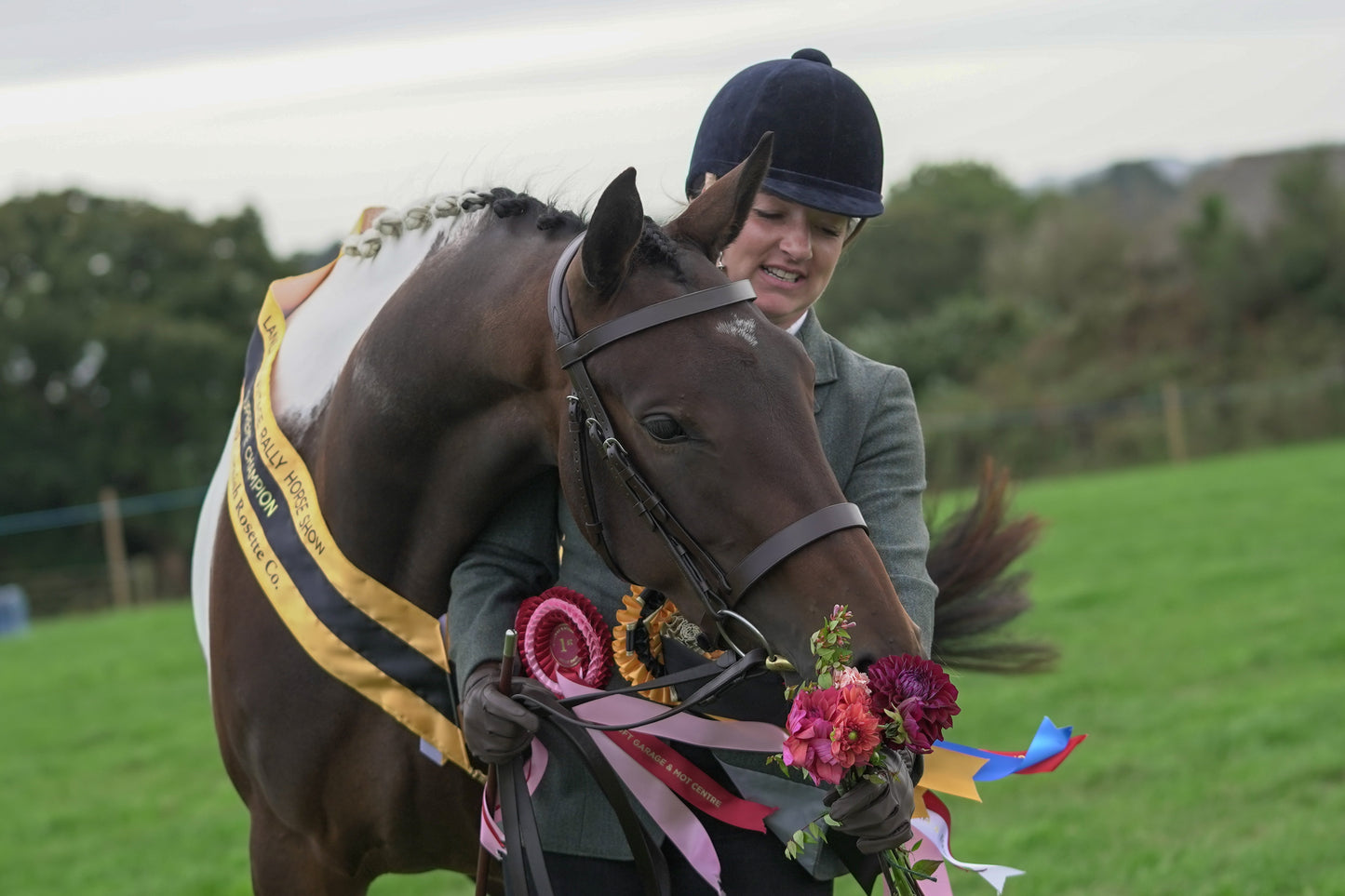 lanlivery show jumping rings part 4