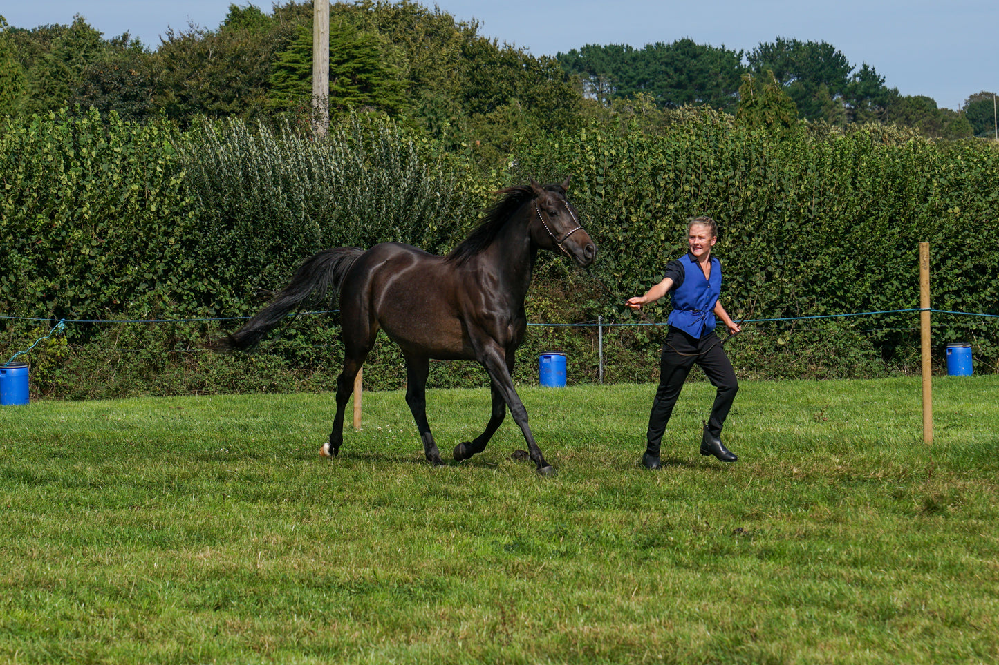 lanlivery show in hand part 4