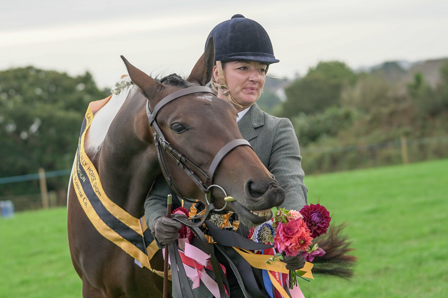 lanlivery show jumping rings part 4